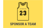 Sponsor a team